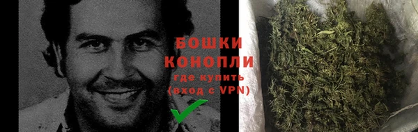 ECSTASY Белокуриха