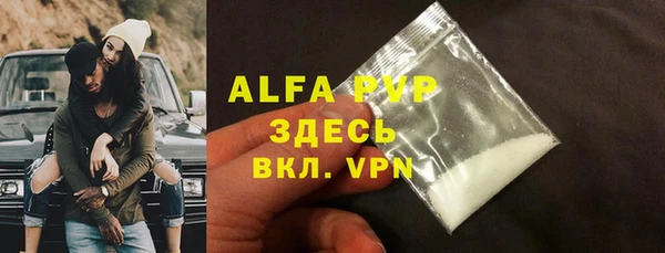 ECSTASY Белокуриха