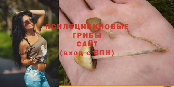 молекула духа Новочеркасск