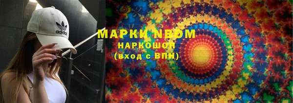ECSTASY Белокуриха