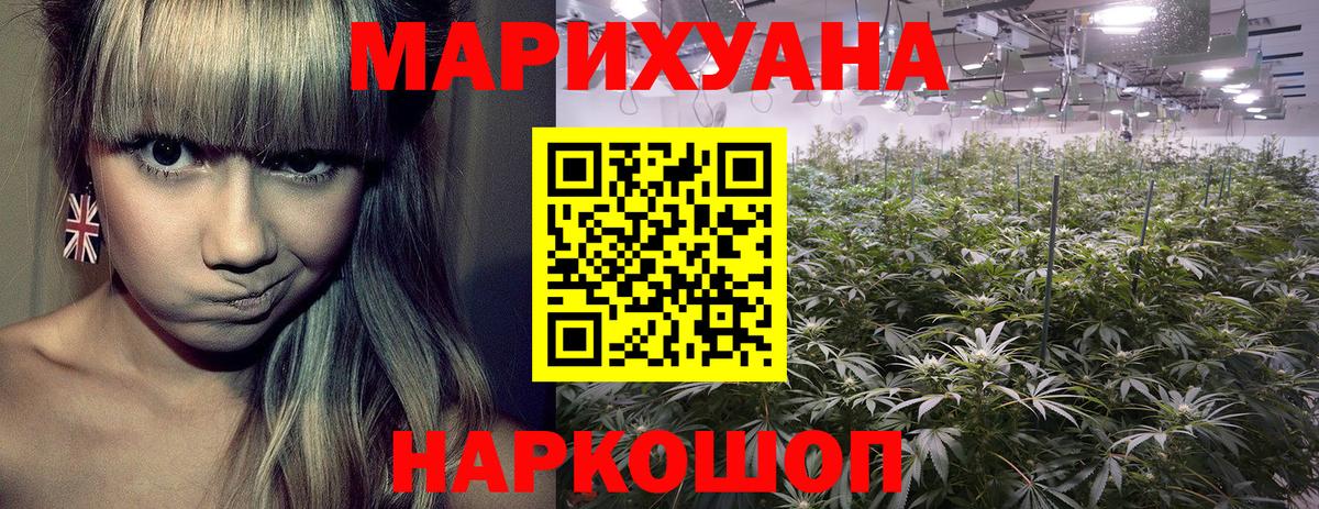 Бошки марихуана семена  МАРИХУАНА конопля  Каннабис план  Боровичи  Вход с VPN 